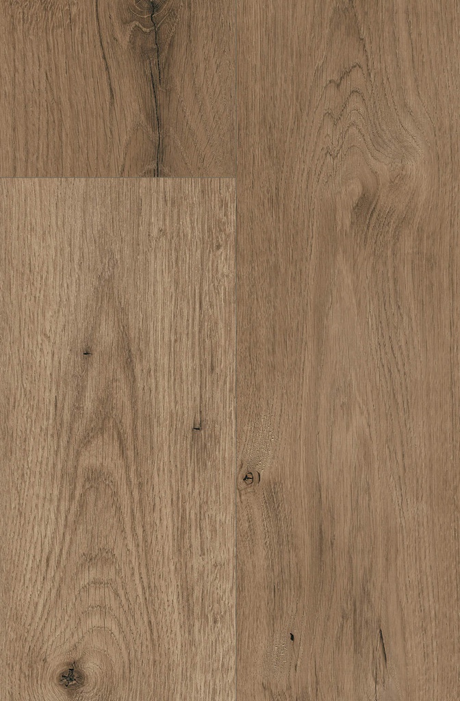 Kaindl Ferrara Wildlife | Laminate Flooring